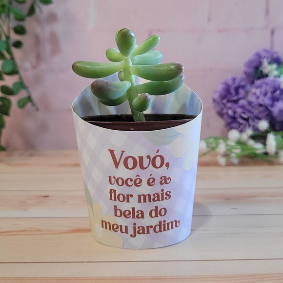 Cinta / Rótulo / Saia para Mini Suculenta - Dia dos Avós