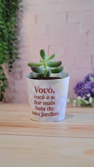 Cinta / Rótulo / Saia para Mini Suculenta - Dia dos Avós