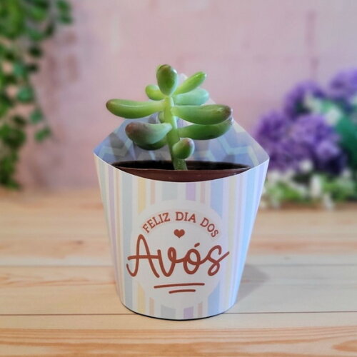 Cinta / Rótulo / Saia para Mini Suculenta - Dia dos Avós
