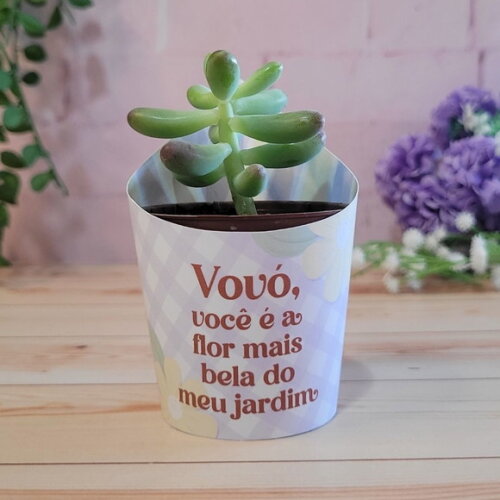 Cinta / Rótulo / Saia para Mini Suculenta - Dia dos Avós