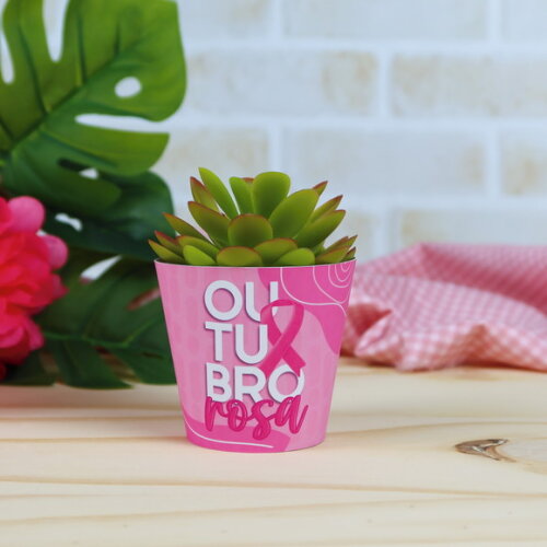 Rótulo / Saia para Mini Suculenta - Outubro Rosa