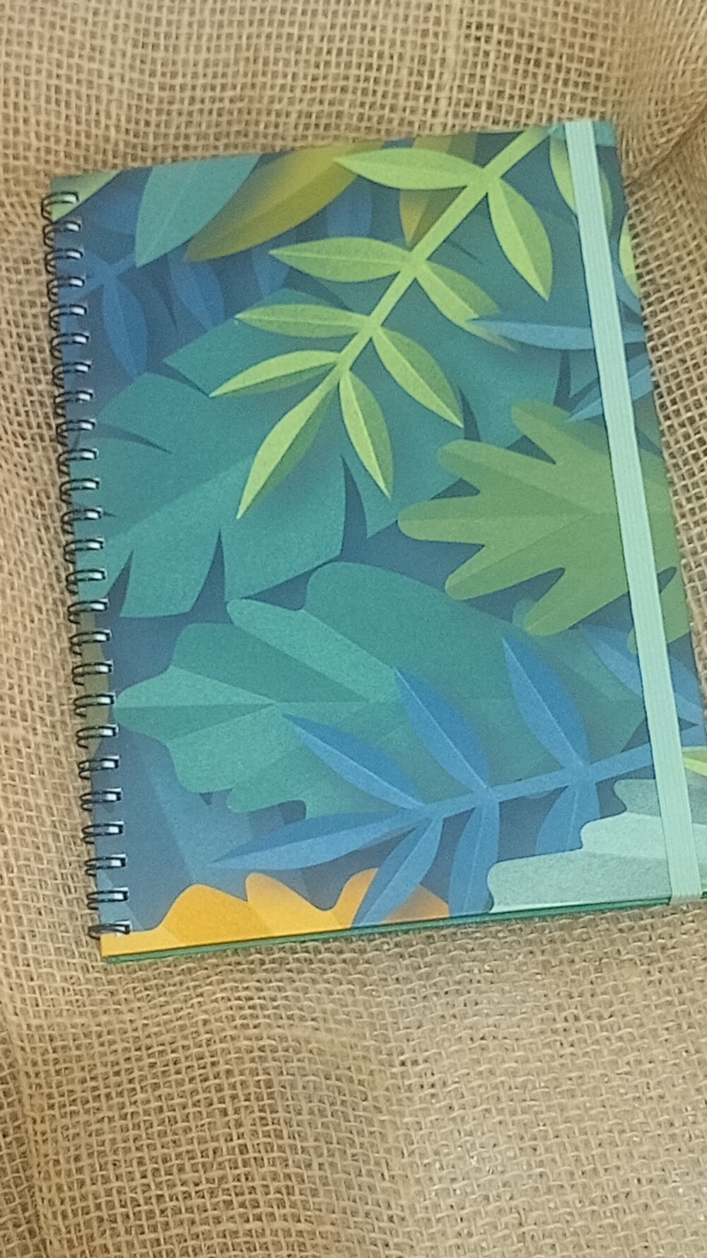 Caderno A5+
