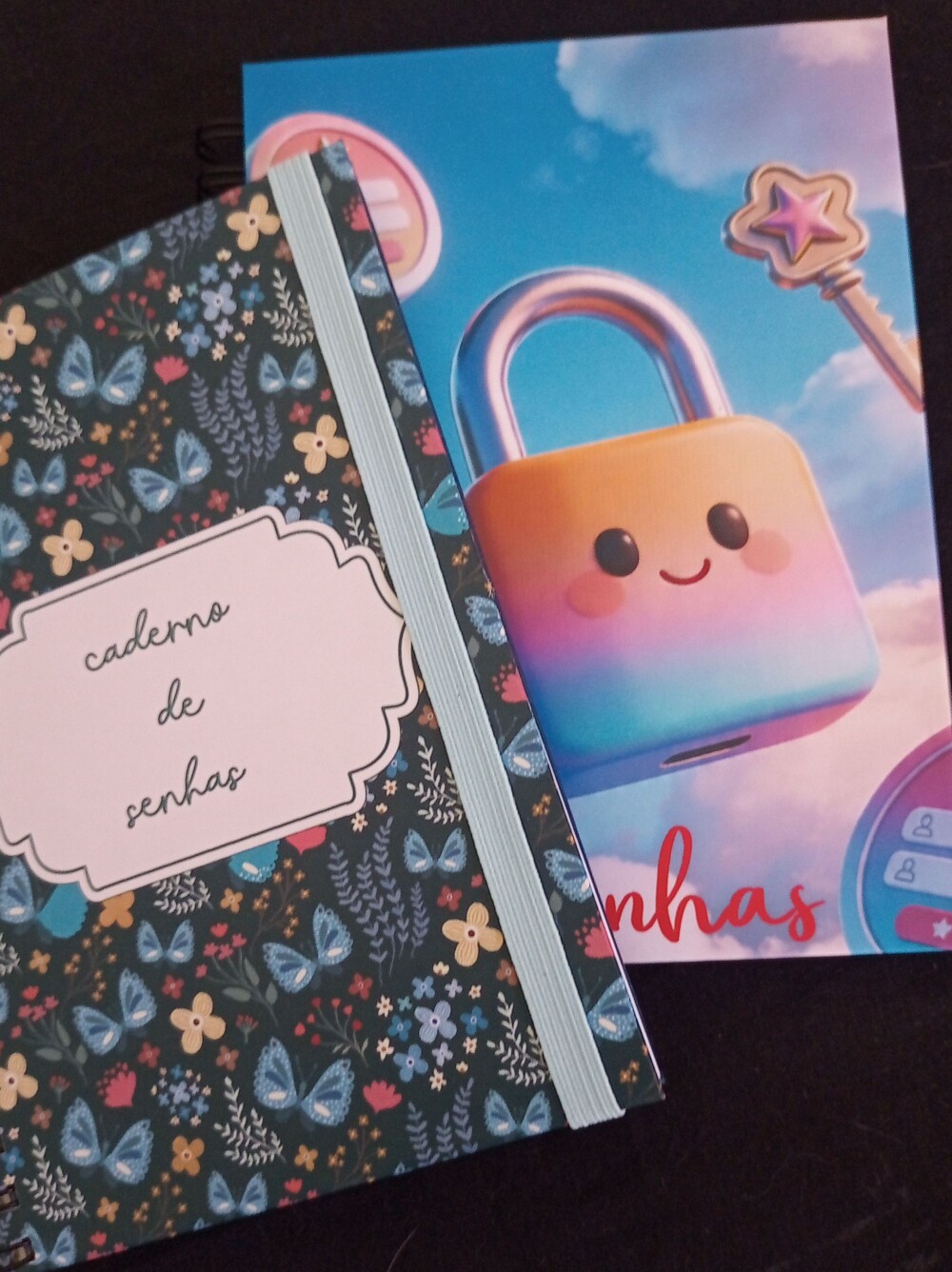 Caderno de Senhas