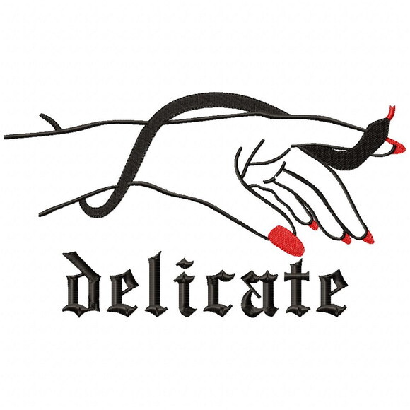 Matriz de Bordado Mão Delicate Taylor Swift