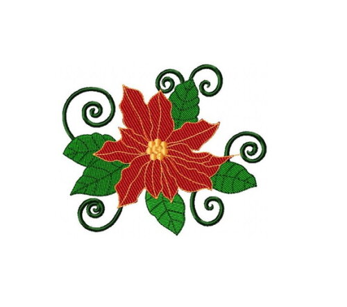 Matriz de Bordado Flor de Natal Clássica Ponto Cheio