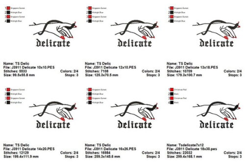 Matriz de Bordado Mão Delicate Taylor Swift