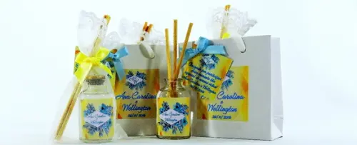 Lembrancinha Casamento Mini Difusor