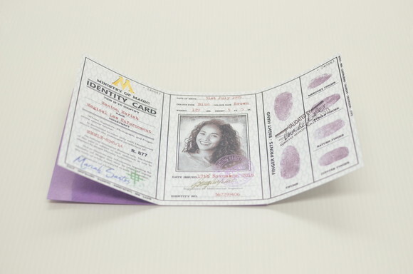 Carteirinha Personalizada Ministério da Magia - Harry Potter