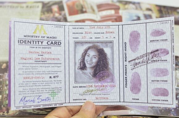 Carteirinha Personalizada Ministério da Magia - Harry Potter