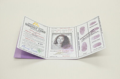 Carteirinha Personalizada Ministério da Magia - Harry Potter