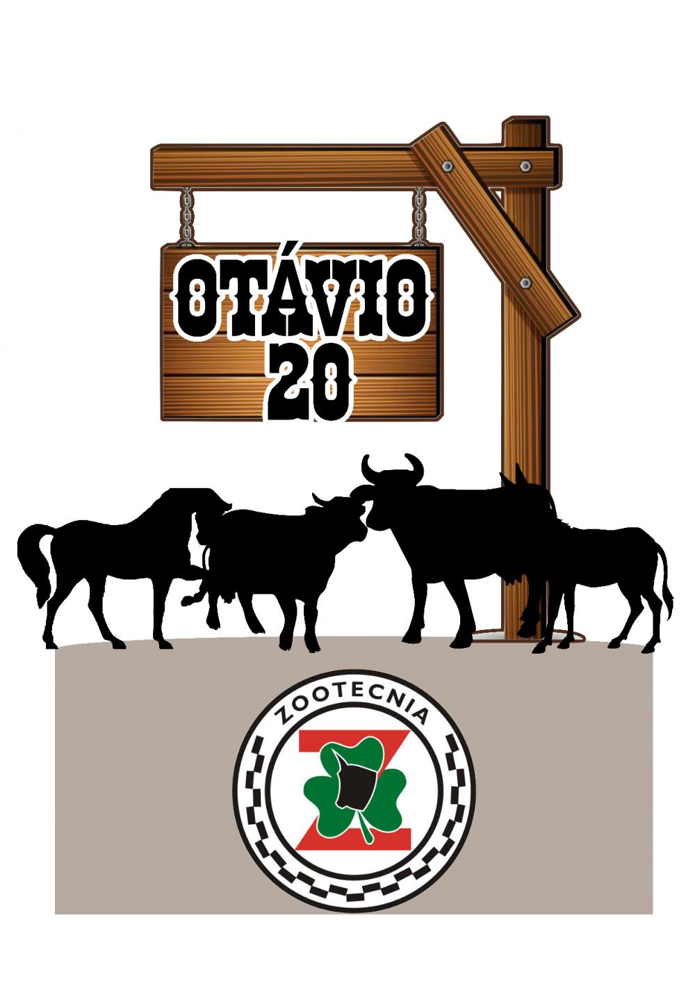 Arquivo de corte topo de bolo Zootecnia