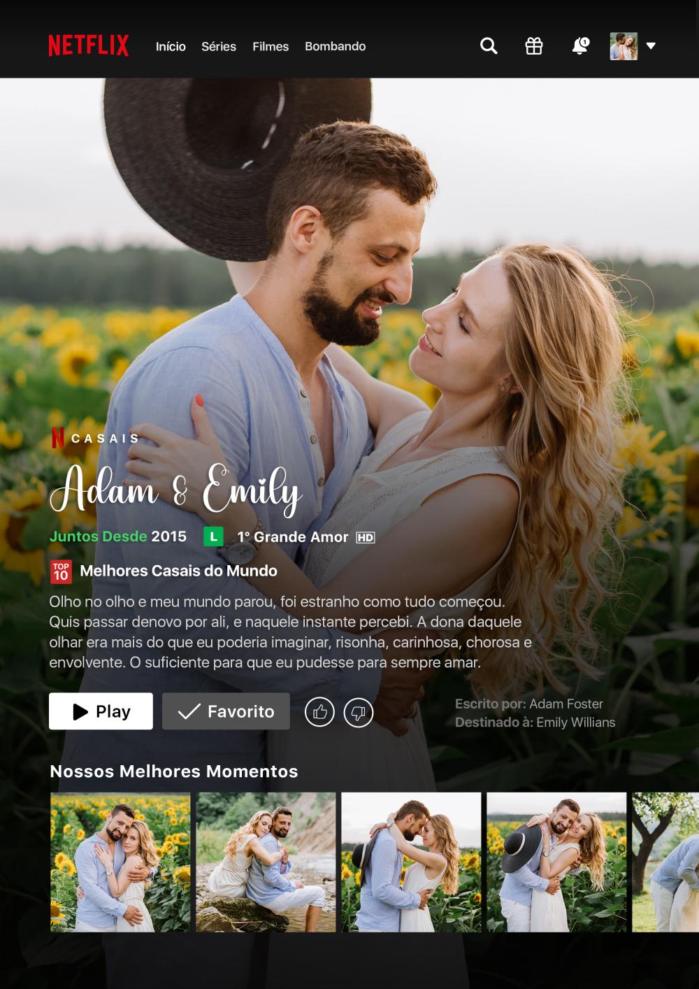 Arquivo Digital Quadro Netflix