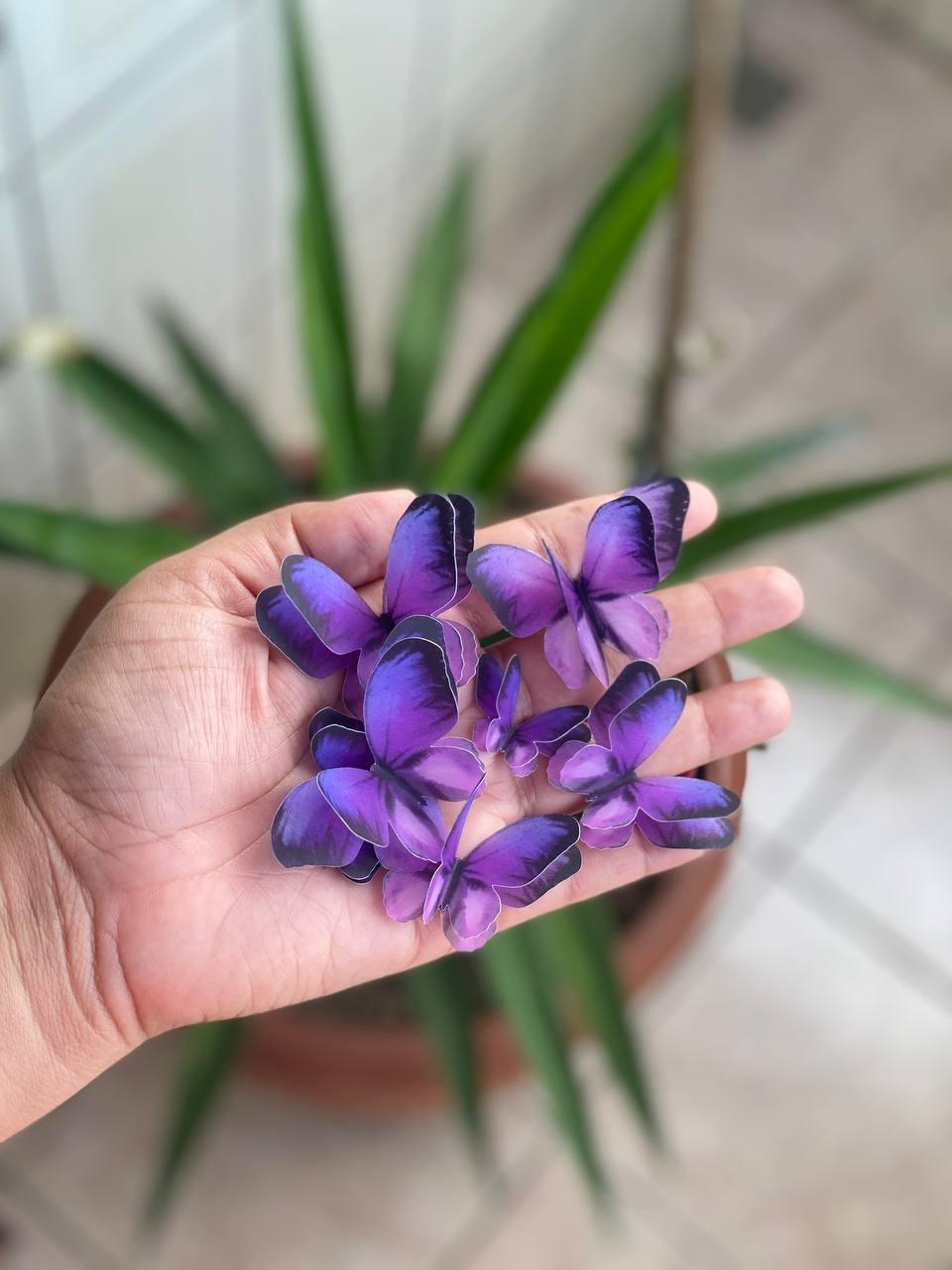 Topo de bolo Borboleta