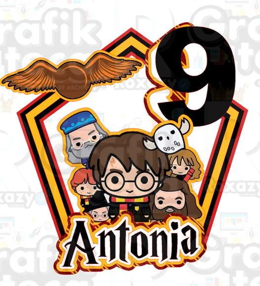 Topo de Bolo Harry Potter