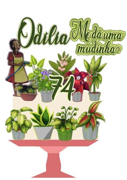 Topo de Bolo Mudinha