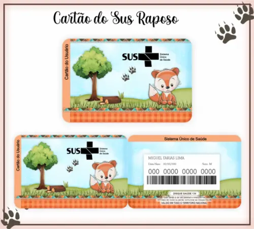 Cartão SUS Raposa
