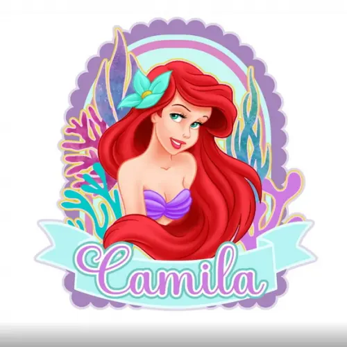 Topo de Bolo Ariel