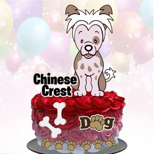 Topo de Bolo Cachorrinho (Chinese Crest)