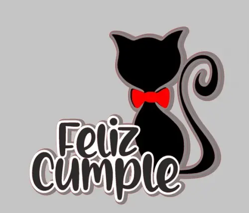 Topo de Bolo Gatinho