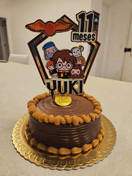 Topo de Bolo Harry Potter