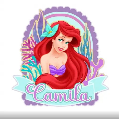 Topo de Bolo Ariel