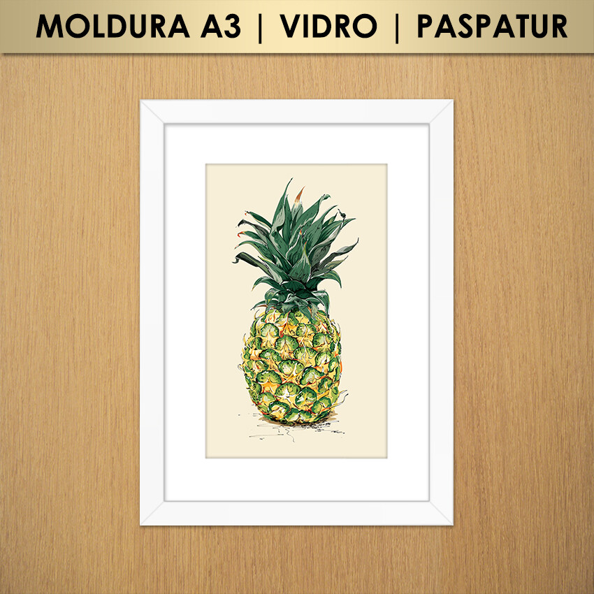 Quadro Abacaxi (Moldura A3 com Vidro e Paspatur)