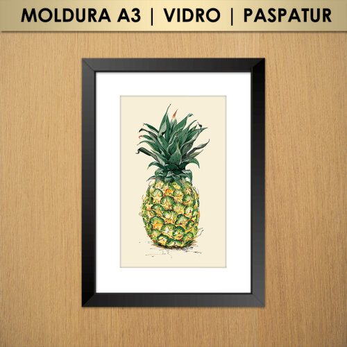 Quadro Abacaxi (Moldura A3 com Vidro e Paspatur)