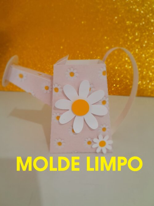 CAIXA REGADOR MOLDE LIMPO