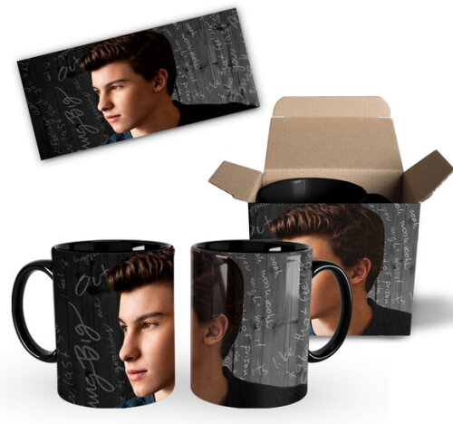 Caneca Personalizada Cantor Shawn Mendes + Caixinha - Mod002