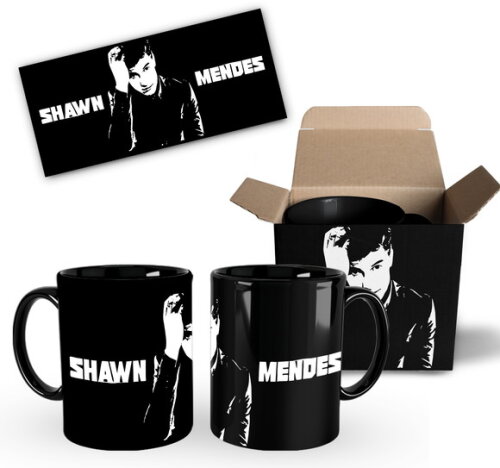 Caneca Personalizada Cantor Shawn Mendes + Caixinha - Mod003
