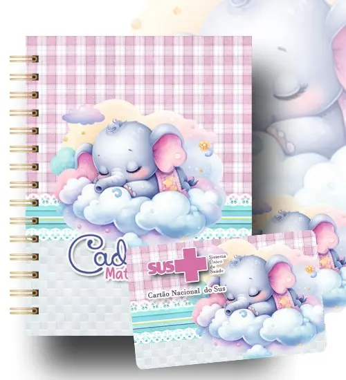 Caderno ou Agenda
