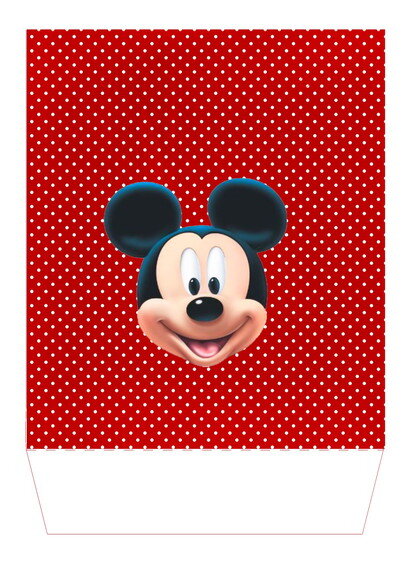 Sacola Personalizada P