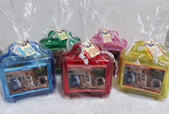 Maletinha Pets 2 - 24 Unidades