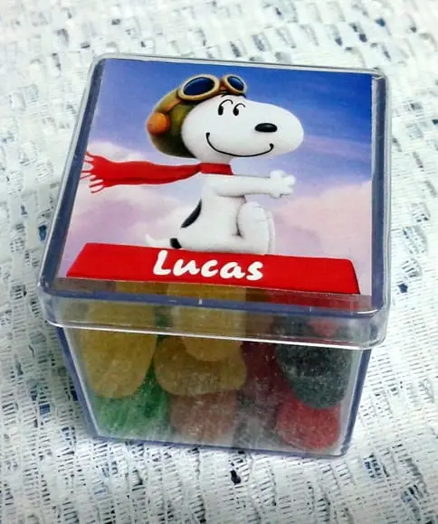 Caixinhas Acrilicas 5 x 5 - 40 Unidades