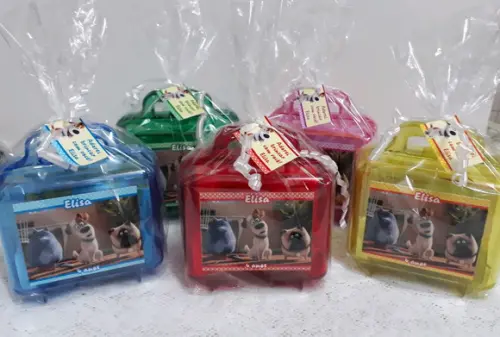 Maletinha Pets 2 - 24 Unidades