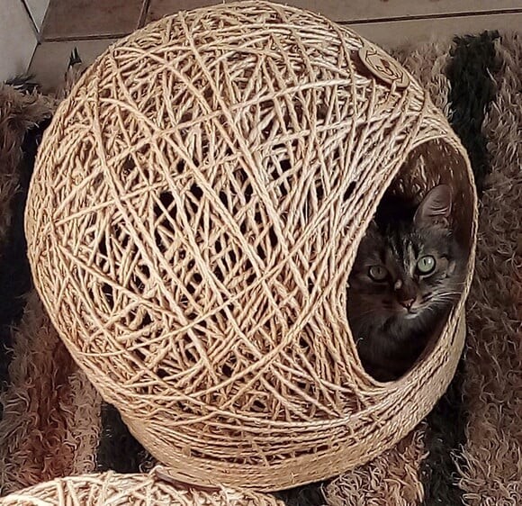 Cama em Sisal para Gatos até 6kg