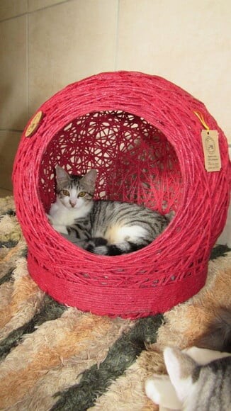 Cama Toca Tam m em Barbante para Gatos e Cães Pequeno Porte