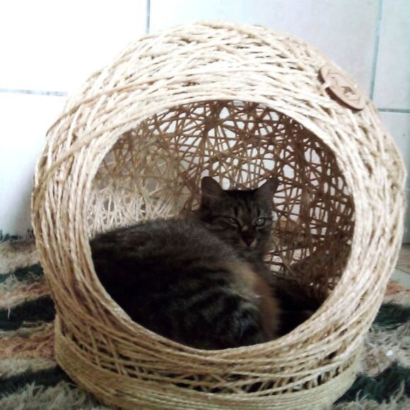 Cama em Sisal para Gatos até 6kg