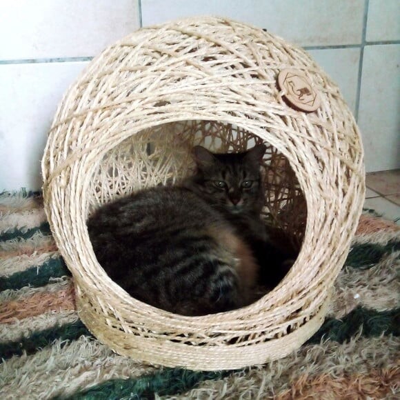 Cama em Sisal para Gatos até 6kg