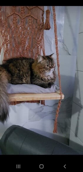 Camagato em Macramê