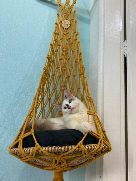 Hanger / Cama em Macramê