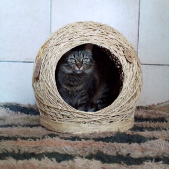Toca Arranhador em Sisal para Gatos e Cães Peq Porte Tam m
