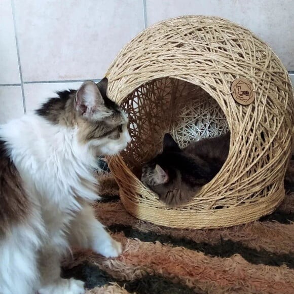 Toca Arranhador em Sisal para Gatos e Cães Peq Porte Tam m