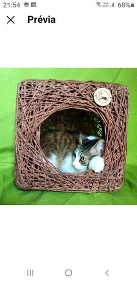 Toca Cubo para Gatos