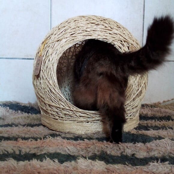 Toca Arranhador em Sisal para Gatos e Cães Peq Porte Tam m