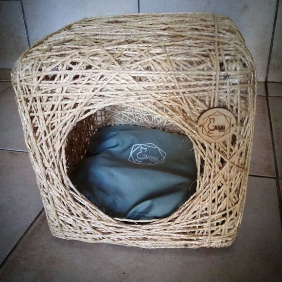 Toca Cubo para Gatos