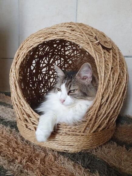 Toca em Sisal para Gatos até 6kg