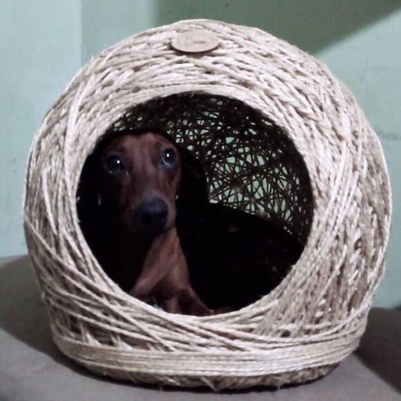 Toca em Sisal para Gatos e Cães Pequeno Porte