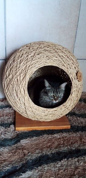 Toca Esfera em Sisal para Gatos