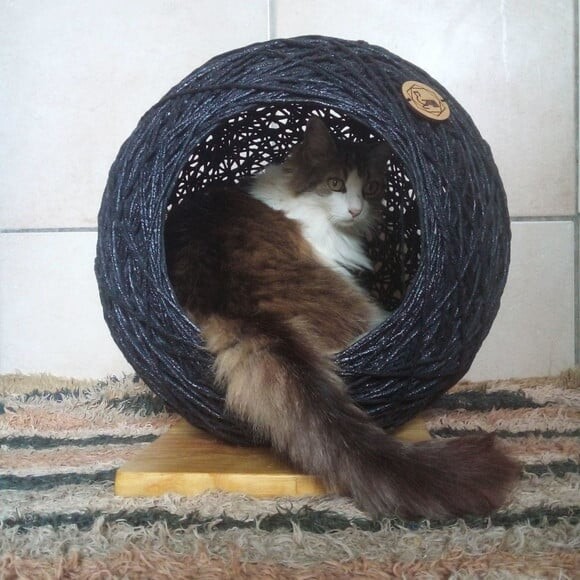 Toca Esfera para Gatos
